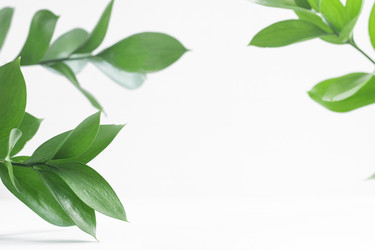 Similar image 21337817