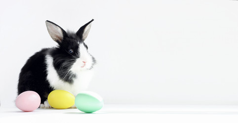 Similar image 21312908