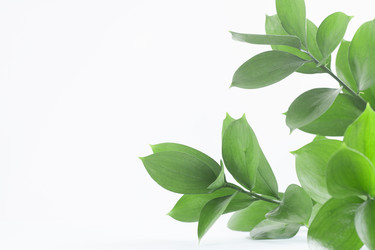 Similar image 21335920