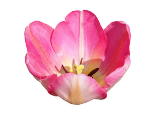 Similar image 21307217