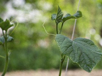 Similar image 21307222