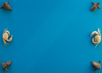 Similar image 21307227