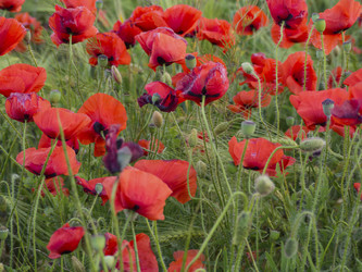 Similar image 21307229