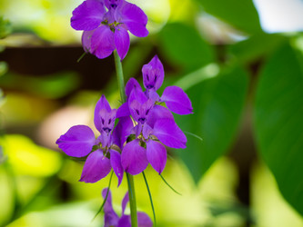 Similar image 21307230