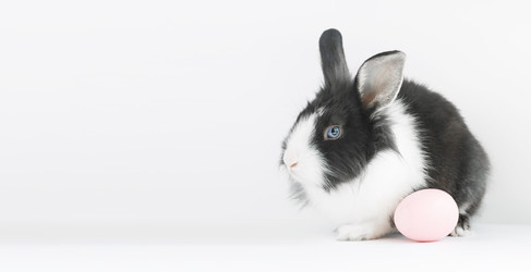 Similar image 21312910