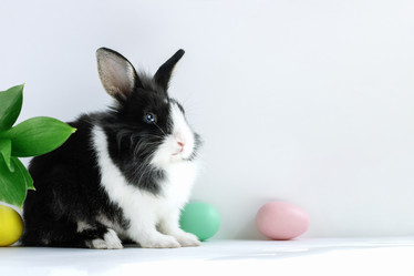 Similar image 21312934