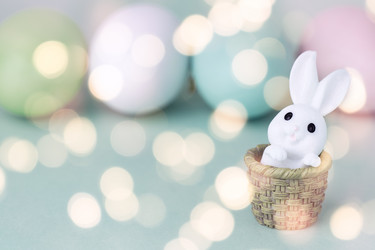 Similar image 21321122