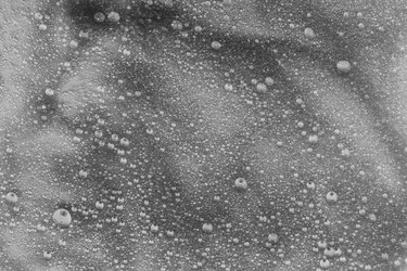 Similar image 21337824