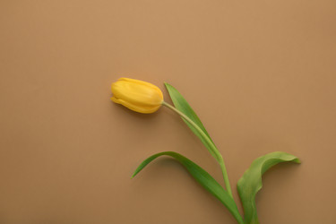 Similar image 21321125