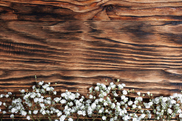 Similar image 21321128