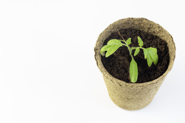 Similar image 21336111