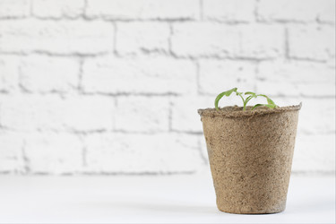 Similar image 21336112