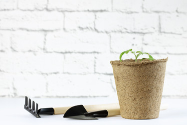 Similar image 21336113