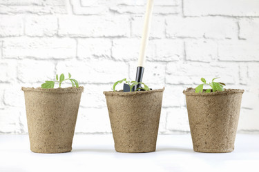 Similar image 21336115