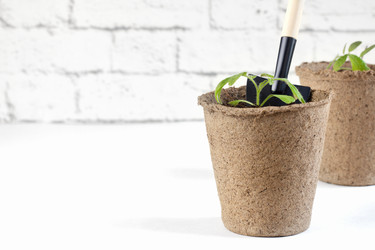 Similar image 21336116