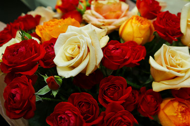 Similar image 21308371