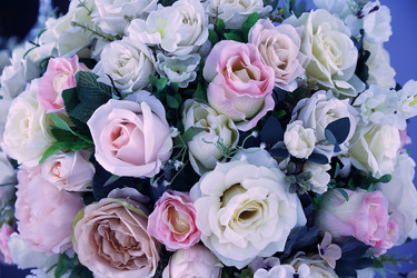 Similar image 21308372