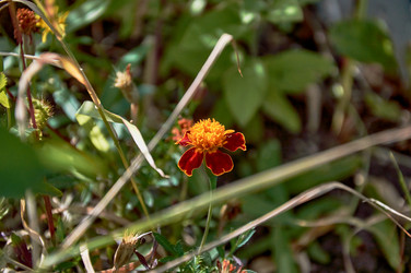 Similar image 21319956