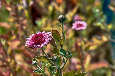 Similar image 21319957