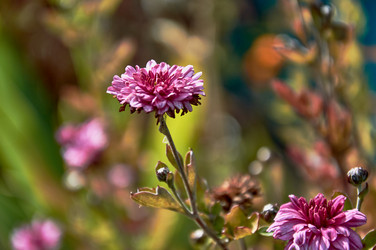 Similar image 21319958