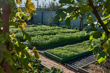 Similar image 21319960