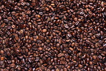 Similar image 21317575