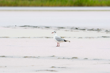 Similar image 21308471