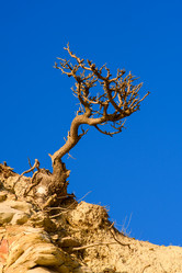 Similar image 21308474