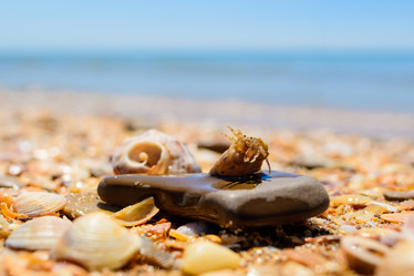 Similar image 21308475