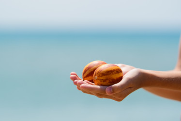 Similar image 21308476