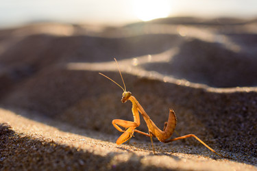 Similar image 21308480