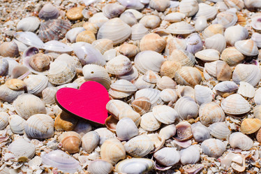 Similar image 21308488