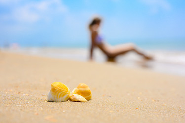 Similar image 21311805