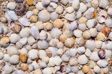 Similar image 21311806