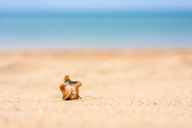 Similar image 21308489