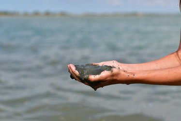 Similar image 21316440