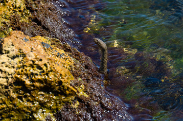 Similar image 21311939