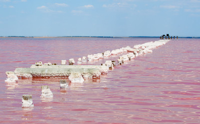 Similar image 21316442