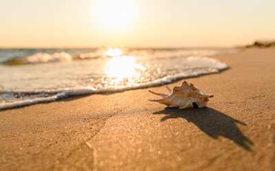 Similar image 21311946