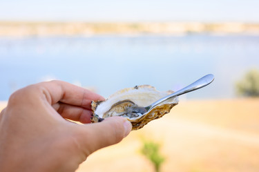 Similar image 21311951