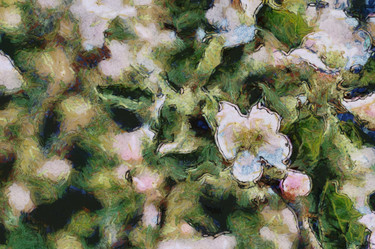 Similar image 21320304