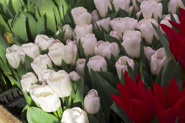 Similar image 21308373