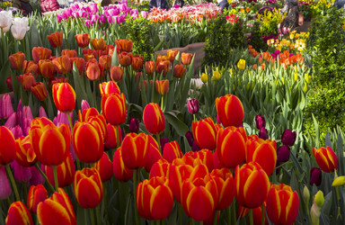 Similar image 21308374