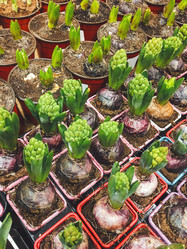 Similar image 21310777