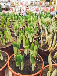 Similar image 21310778