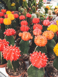 Similar image 21310779