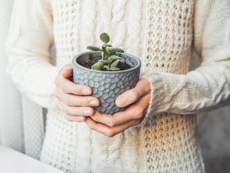 Similar image 21310783