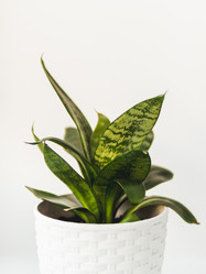 Similar image 21310787