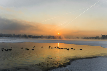 Similar image 21311819