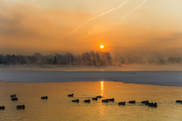 Similar image 21311820